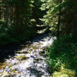 Killen Creek Campground