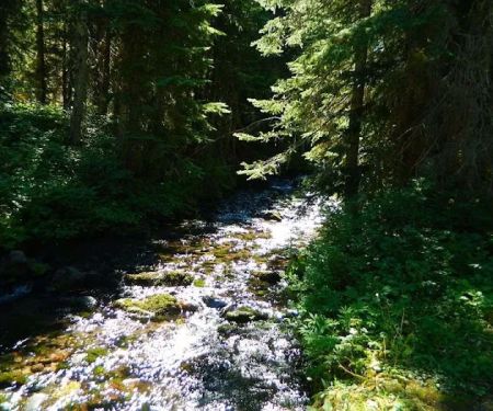 Killen Creek Campground