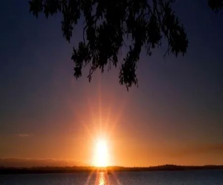 Rockledge Terrace dr