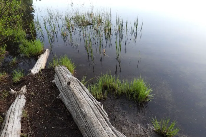 Campground: Olallie Lake Picture 7