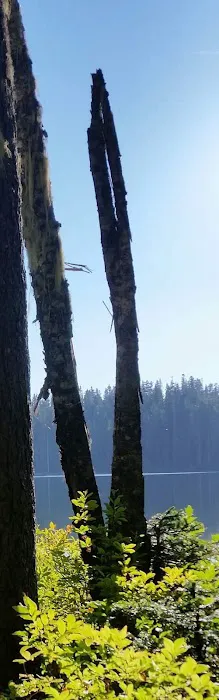 Takhlakh Lake Campground Picture 2