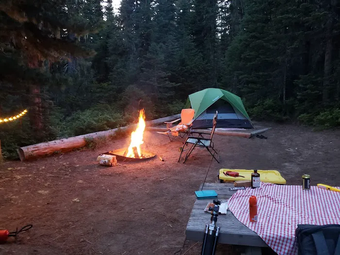 Takhlakh Lake Campground Picture 8
