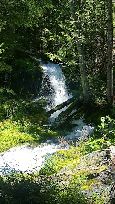 Takhlakh Lake Campground Picture 4