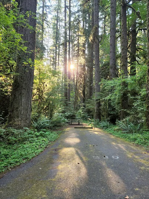 Iron Creek Campground Picture 2