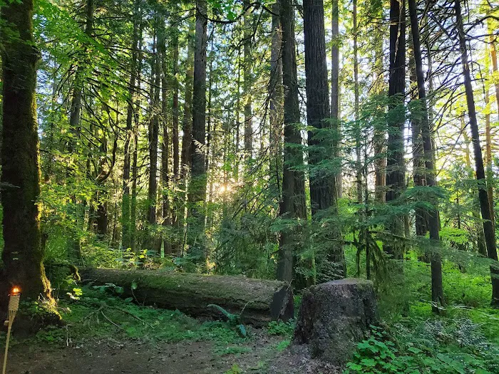 Iron Creek Campground Picture 4