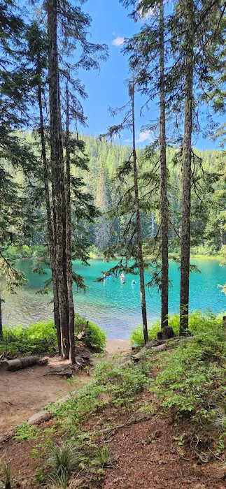 Council Lake Campground Picture 1