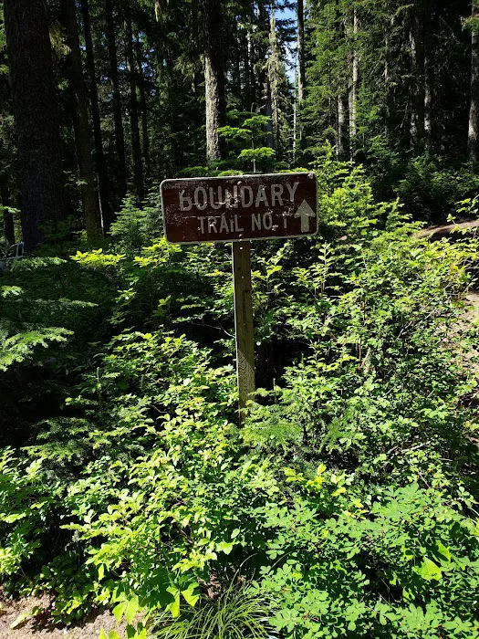 Council Lake Campground Picture 4