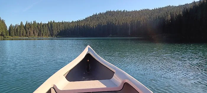 Council Lake Campground Picture 7