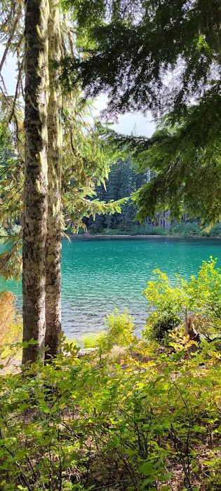 Council Lake Campground Picture 10