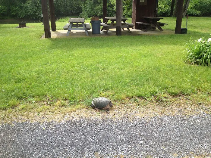 Irvin Swatara Acres Creekside RV & Camp Parks Picture 7