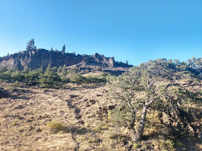 Windy Point Campground Picture 2