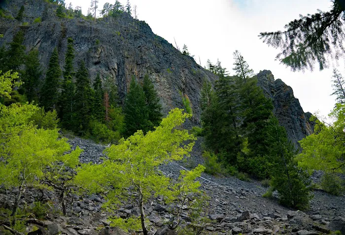 Windy Point Campground Picture 1