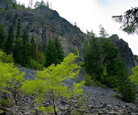 Windy Point Campground