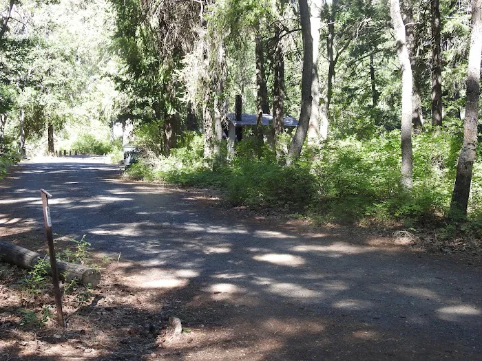 Windy Point Campground Picture 5