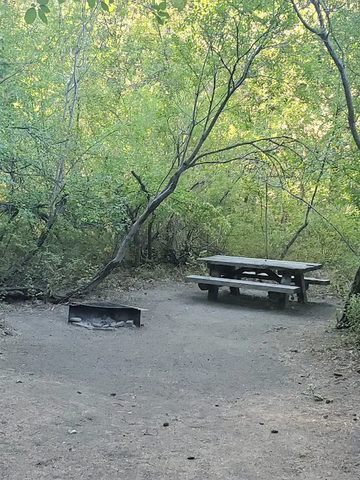 Windy Point Campground Picture 8