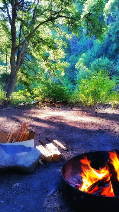 Windy Point Campground Picture 10