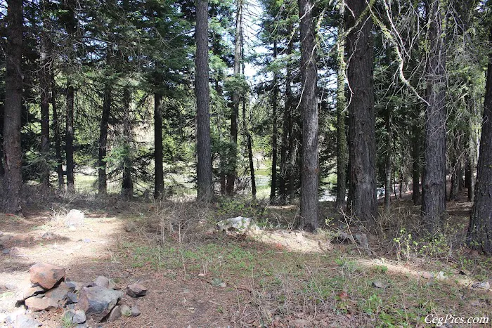 Bear Lake Campground Picture 9