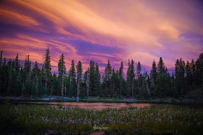 Bear Lake Campground Picture 6