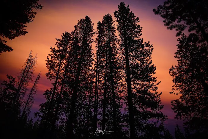 Bear Lake Campground Picture 3