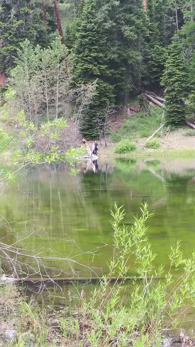 Bear Lake Campground Picture 4