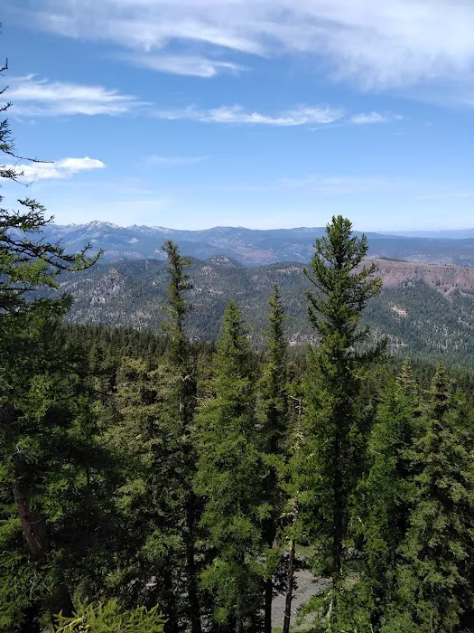 Bear Lake Campground Picture 7