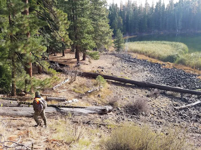 Bear Lake Campground Picture 10