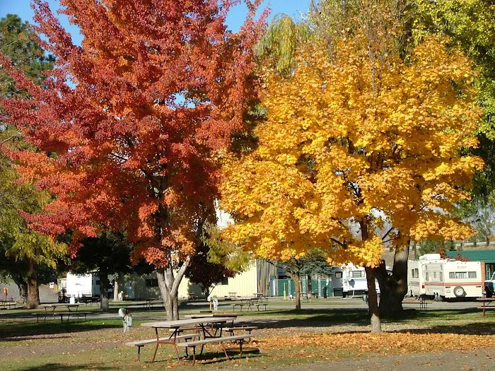 Ellensburg KOA Journey Picture 10