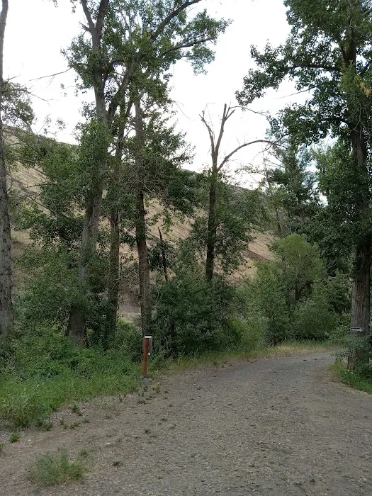 Bighorn Campground Picture 2