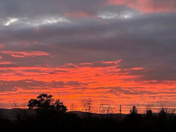 Infidel Acres Picture 1