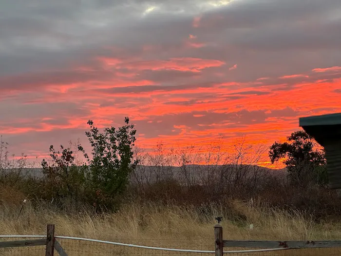 Infidel Acres Picture 3