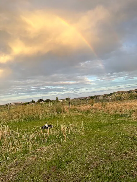 Infidel Acres Picture 5