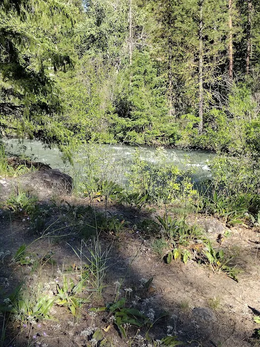 Willows Campground Picture 8