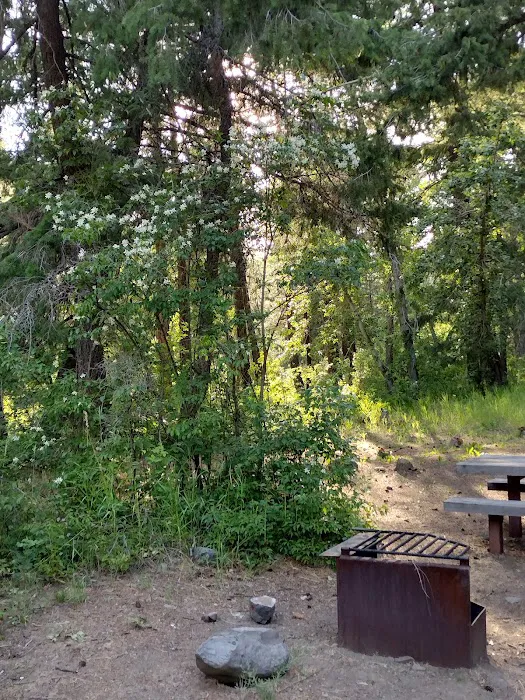 Willows Campground Picture 10