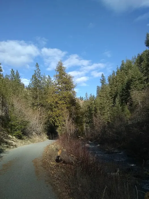 Pine Flats Campground Picture 3