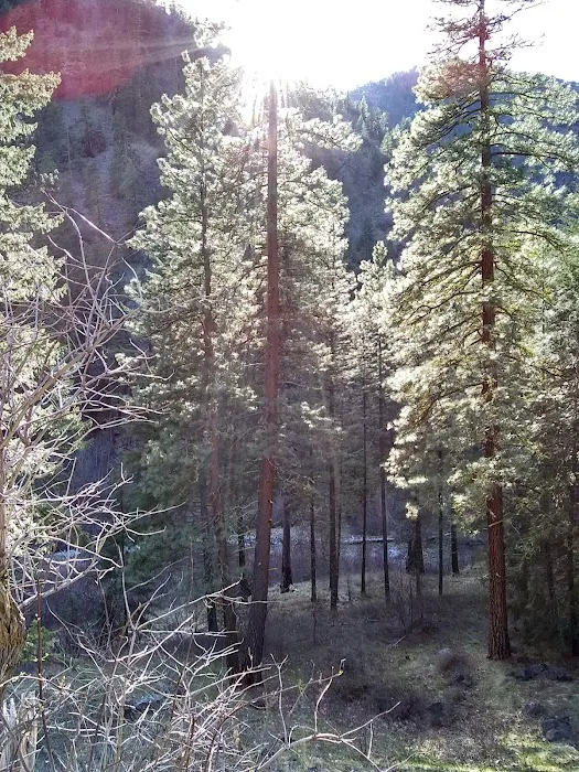 Pine Flats Campground Picture 2