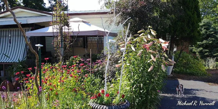 Regent Acres Mobile Home Park Picture 6