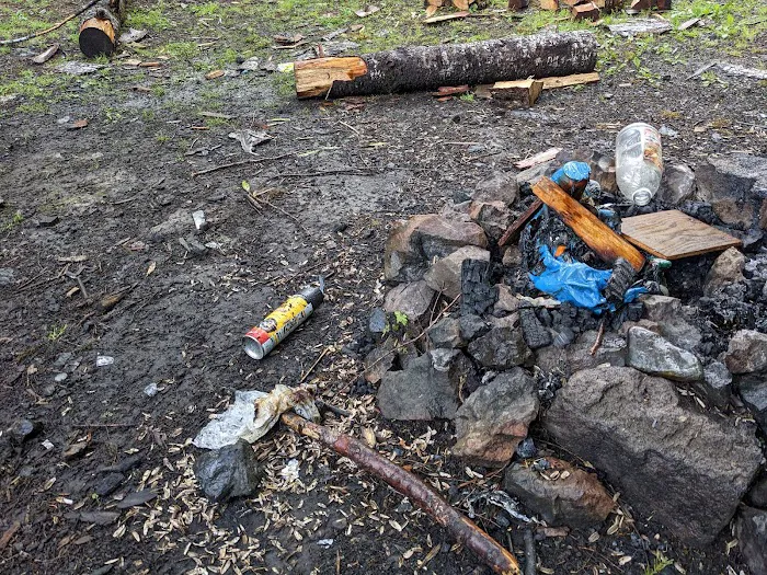 Depression Lake Campground Picture 9