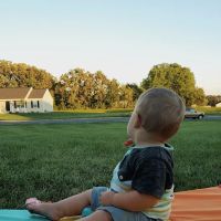 Meadow View Estates ico