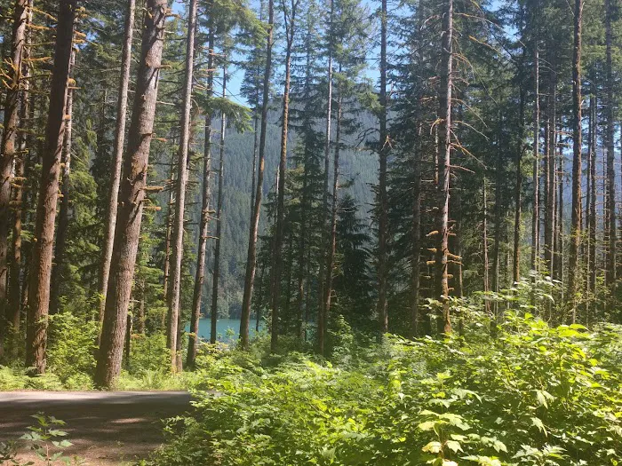 Horseshoe Cove Campground Picture 1