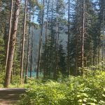 Horseshoe Cove Campground