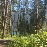 Horseshoe Cove Campground ico