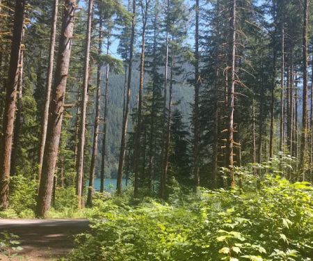 Horseshoe Cove Campground