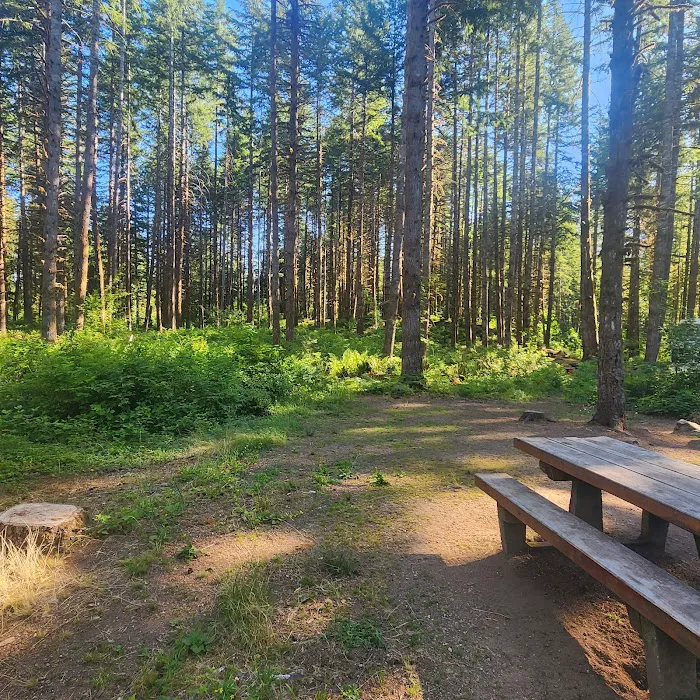 Horseshoe Cove Campground Picture 5
