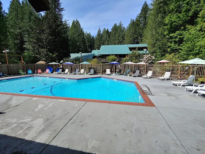 Skagit River Woods Picture 2