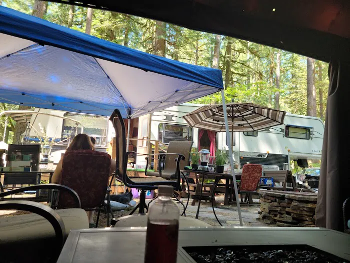 Skagit River Woods Picture 1