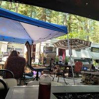 Skagit River Woods ico