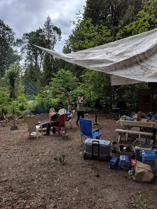 Skagit River Woods Picture 5