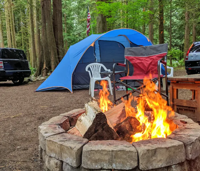 Skagit River Woods Picture 10