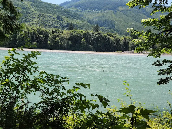 Skagit River Woods Picture 9