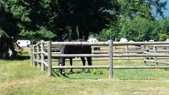 Cowboy Campsite Private Equine/Membership Picture 4